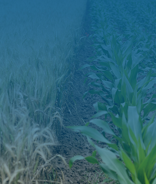 2025 國(guó)產(chǎn)肥料養(yǎng)分檢測(cè)儀市場(chǎng)競(jìng)爭(zhēng)力排名出爐 五大品牌重塑行業(yè)格局