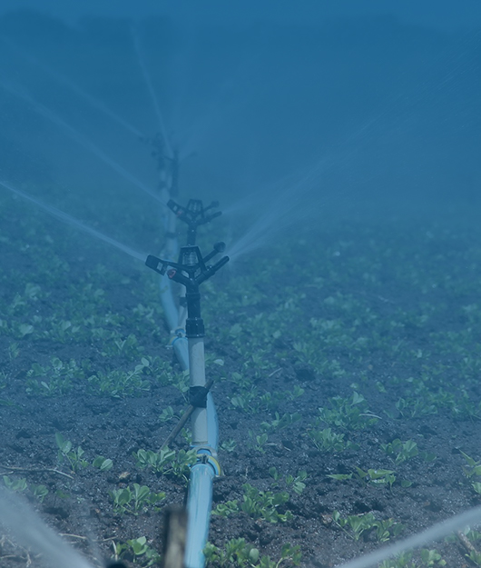 測(cè)土配方一體的土肥儀